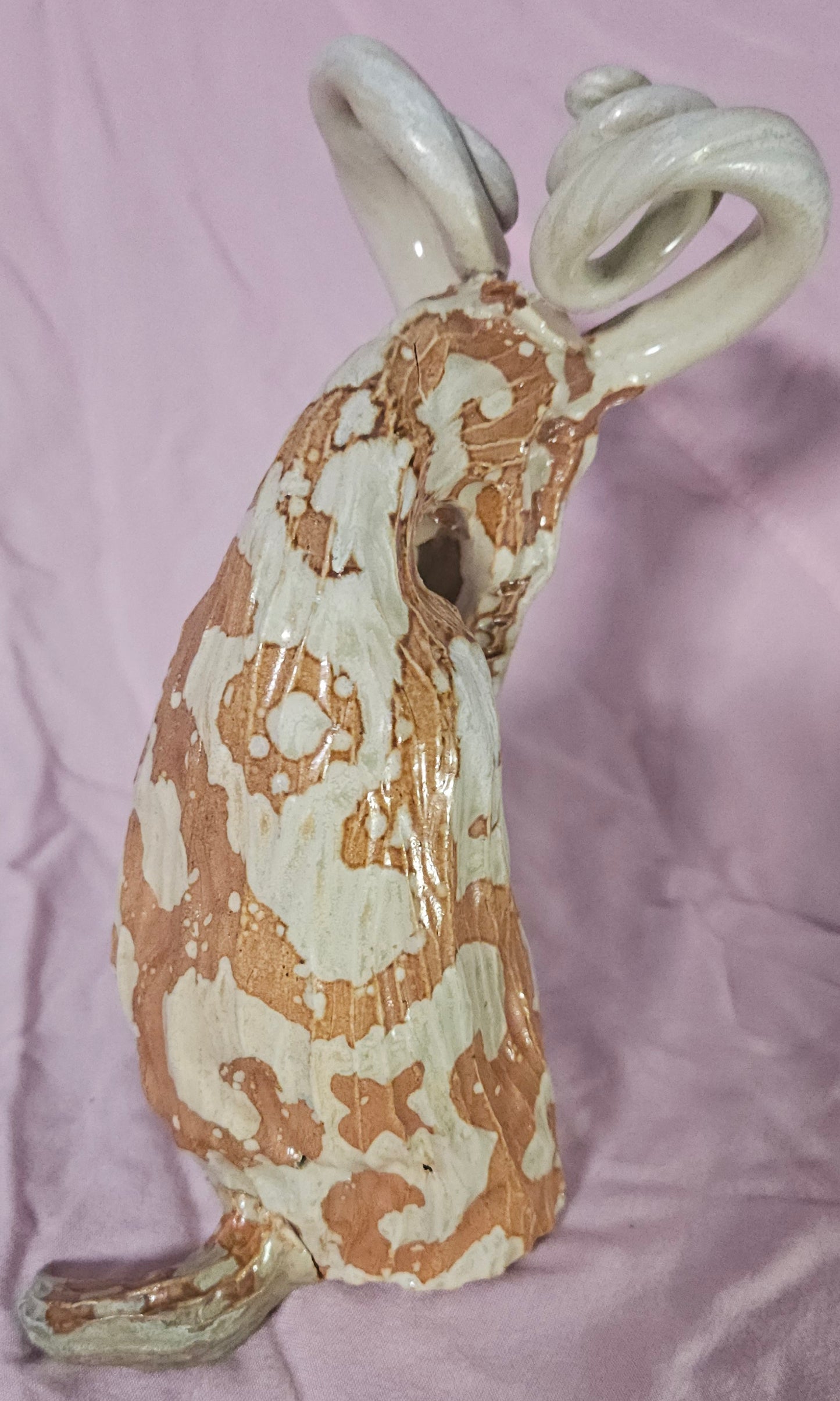 Spirula, Manna Doll
