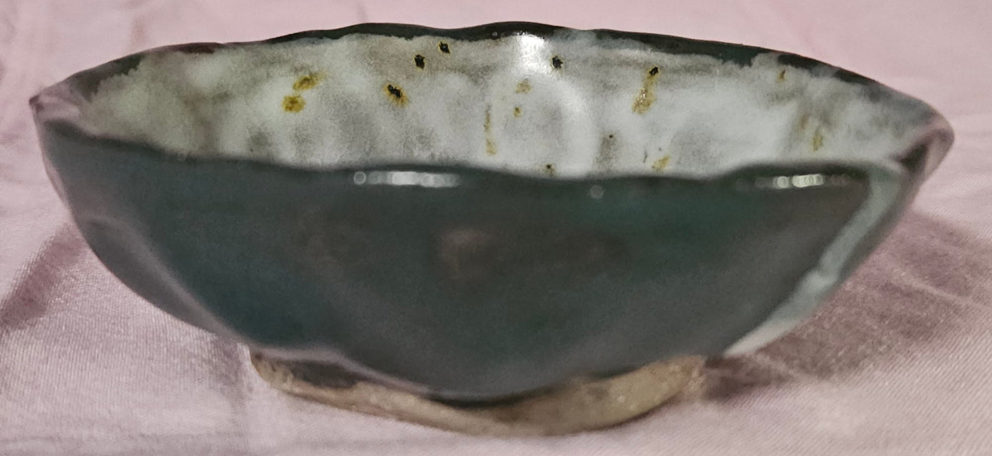Small Dish BSE